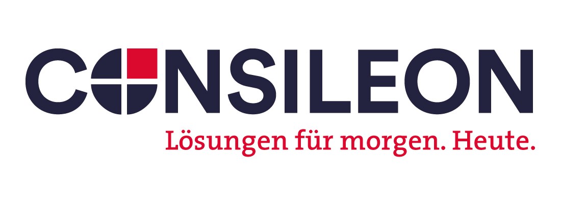 Logo CONSILEON